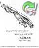 Jaguar 1960 0.jpg